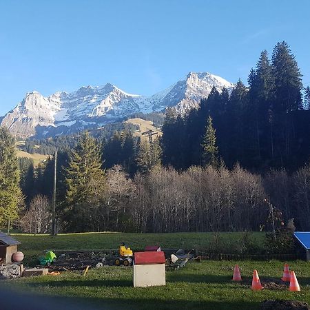 Chalet Wildbach Adelboden Eksteriør billede