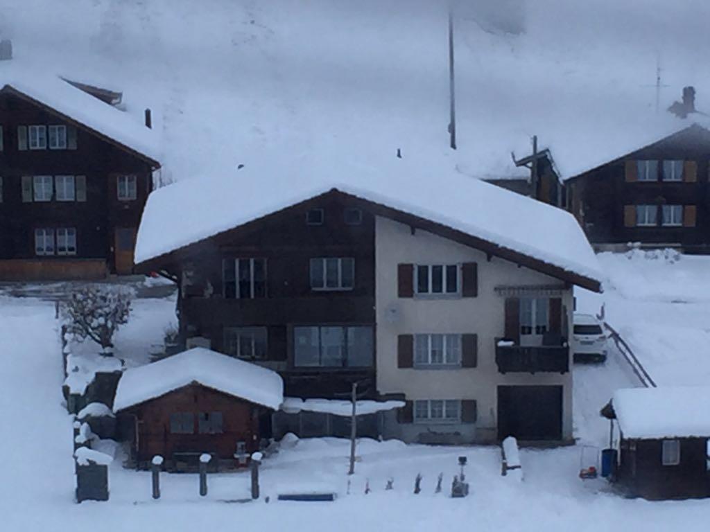 Chalet Wildbach Adelboden Eksteriør billede